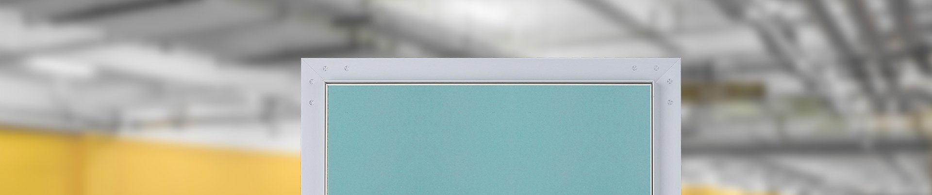 Standard Access Panel