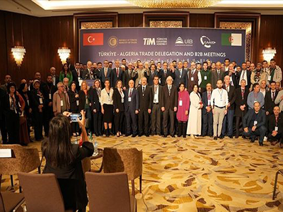 Tiger Ceiling Systems